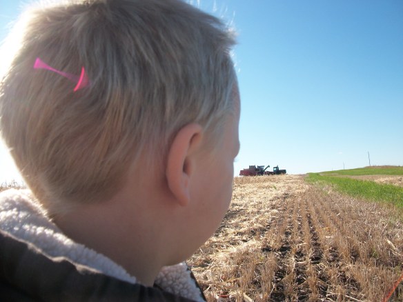 Waiting his turn...his dad is in the tractor, his grandpa is in the combine. Is his future in jeopardy?