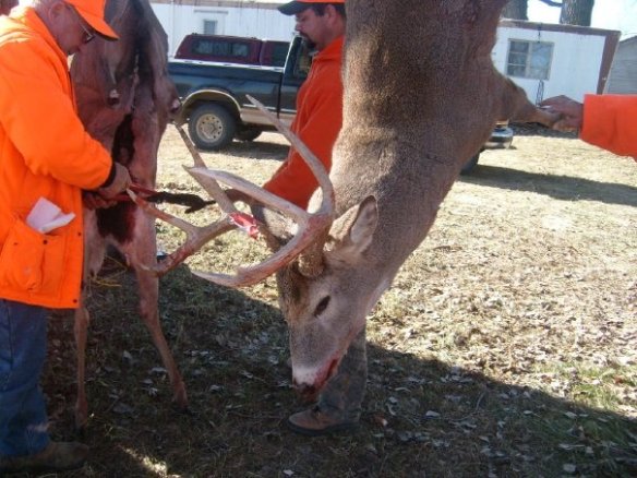 My buck from a few years ago...yep, I hunt.